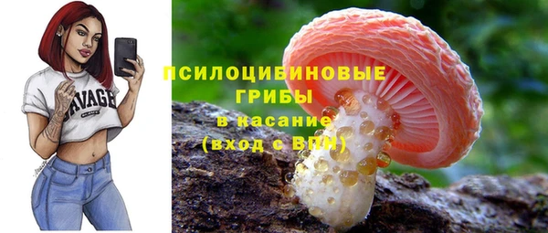 дживик Медногорск