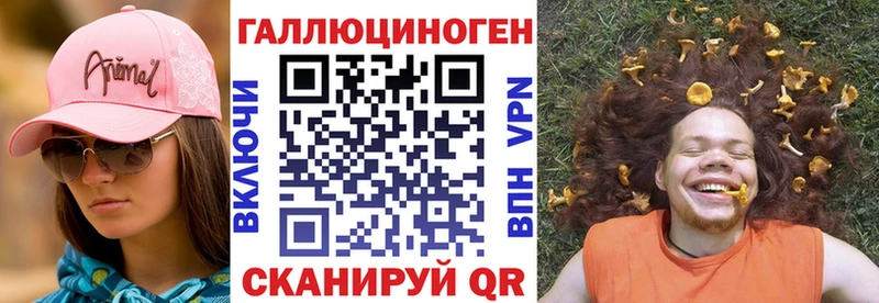 Галлюциногенные грибы Psilocybine cubensis Сясьстрой